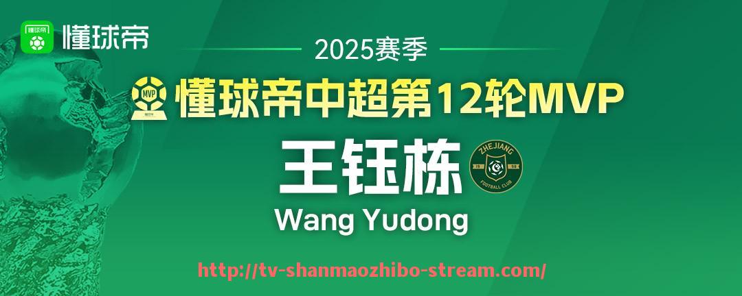 山猫直播官网-意甲各足球队分别位于哪些城市？地理分布如何？（意甲球场各球队球场）