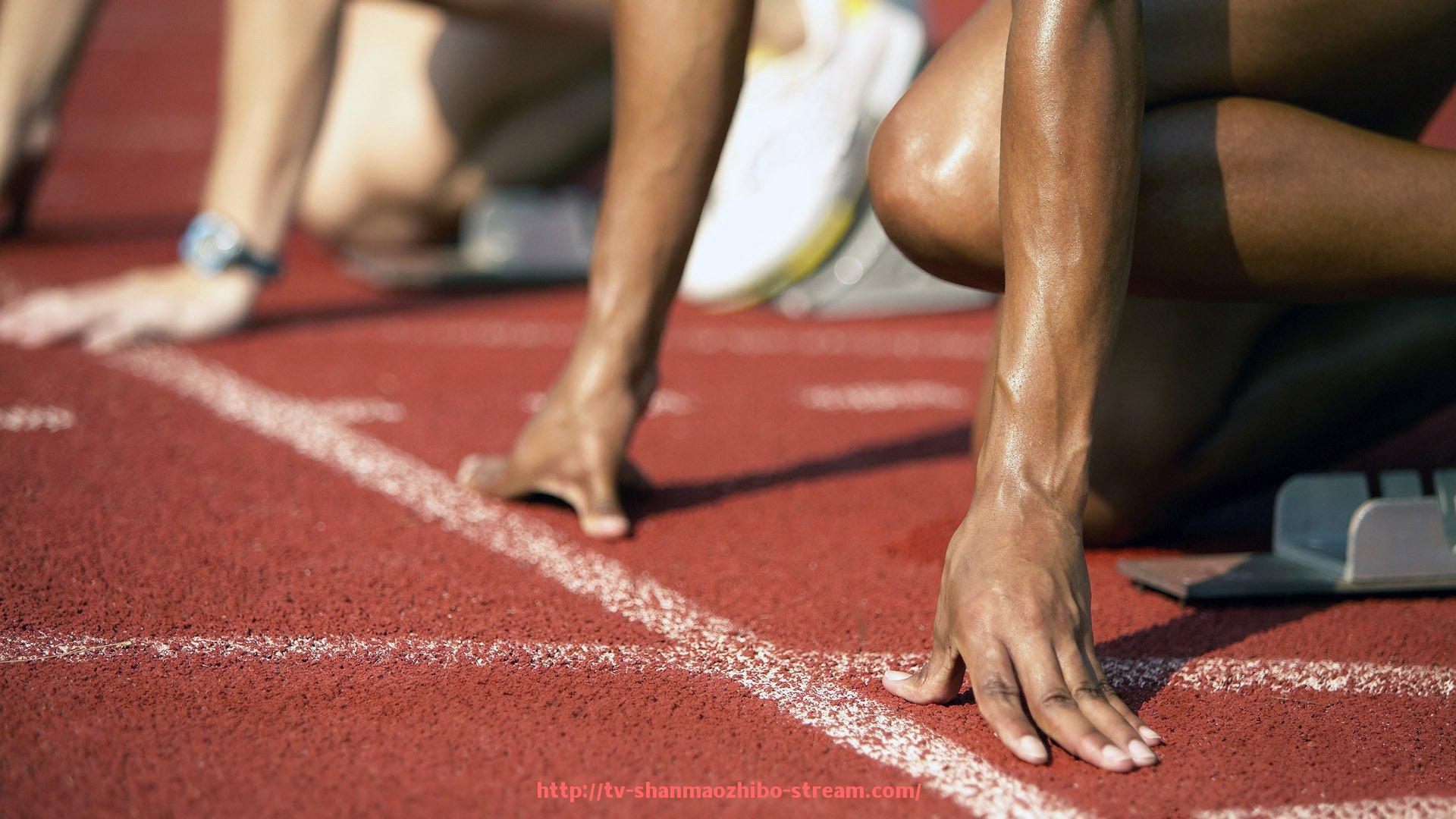 山猫直播官网-多品牌协作视角下的世俱杯赞助品牌联合推广方式分析